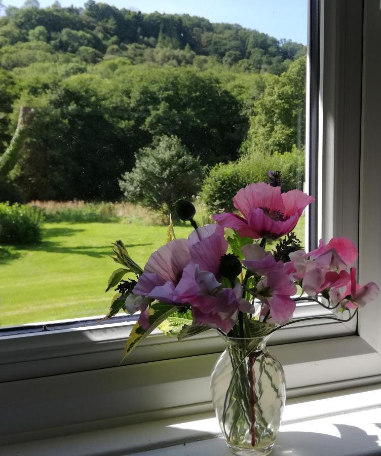 Riverside B&B Moretonhampstead Eksteriør billede