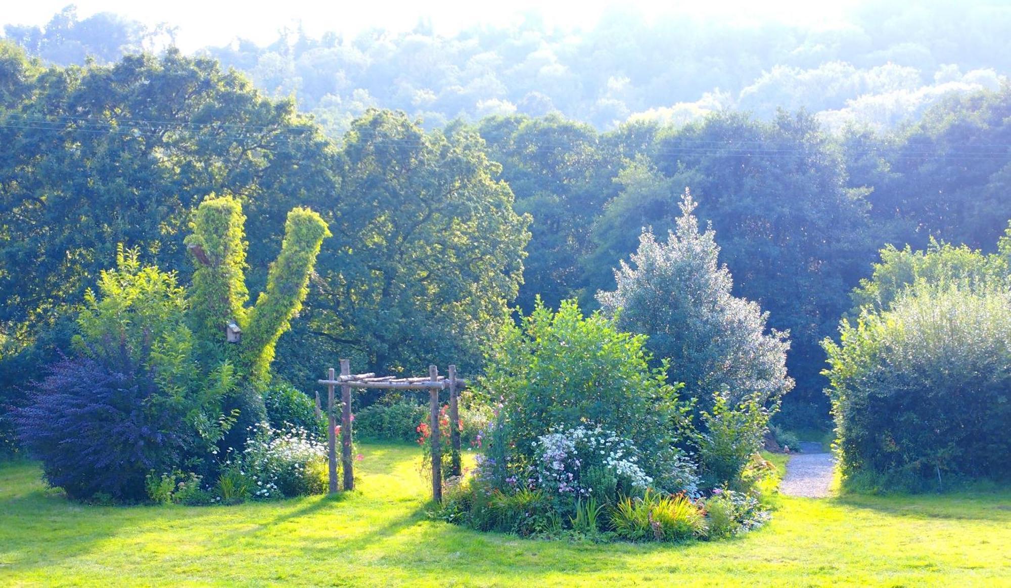 Riverside B&B Moretonhampstead Eksteriør billede